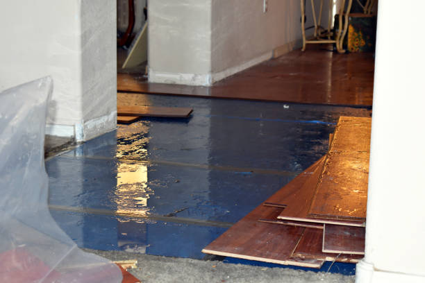 Professional Sewage Cleanup technician working in Hills, MN